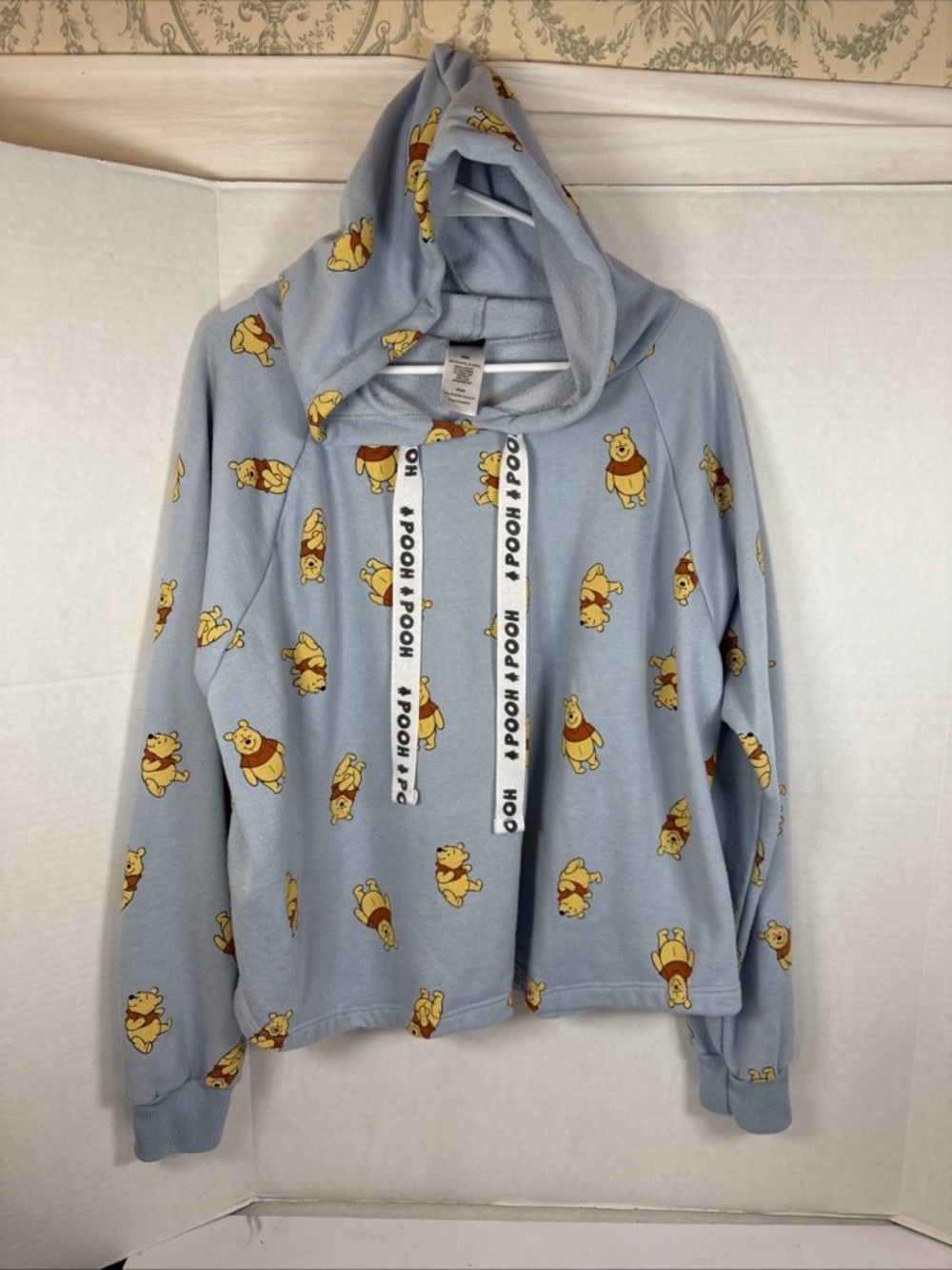 Disney Women’s Winnie the Pooh Bear Cropped BLUE Hoodie Sweatshirt Sz XXXL